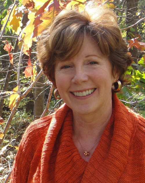 Endless Possibilities Blog Tour 2014: Linda Johnston on Historical Research